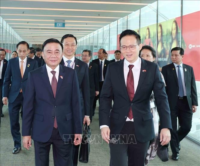 新加坡国防部政务部长朱倍庆前往机场迎接陈锦秀同志一行。图自越通社