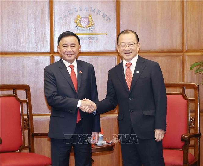 党中央政治局委员、中央书记处常务书记陈锦秀与新加坡国会议长谢建平合影。图自越通社