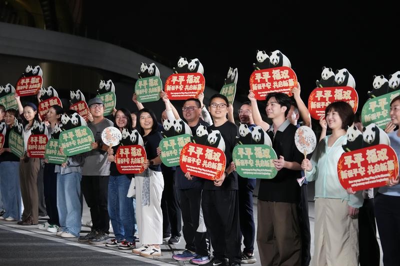 9月26日晚，成都大熊猫繁育研究基地为大熊猫“平平”“福双”举办欢送仪式。 新华社记者 胥冰洁 摄