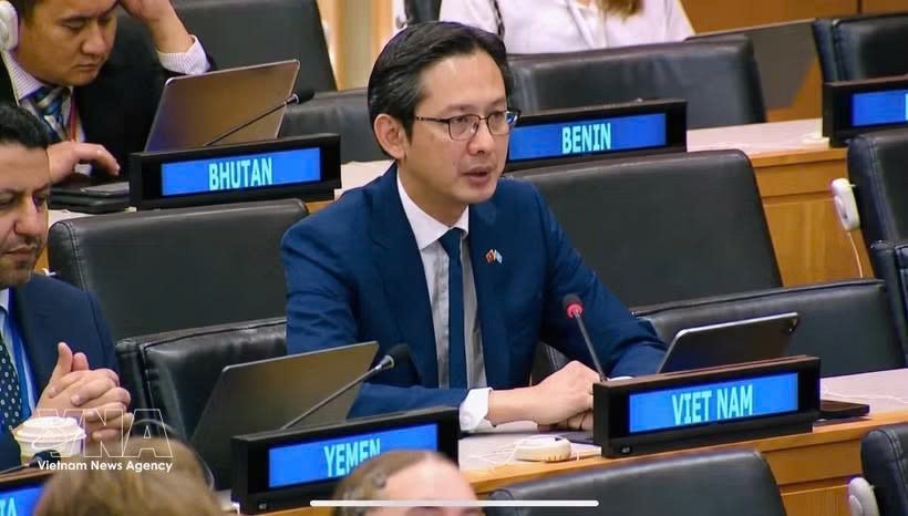 越南常驻联合国代表团团长杜雄越大使出席并发表讲话。图自越通社