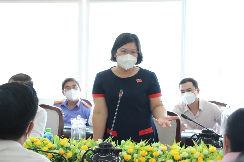 Kiến nghị cơ chế luật sư đại diện chính quyền tham gia tranh tụng ảnh 2