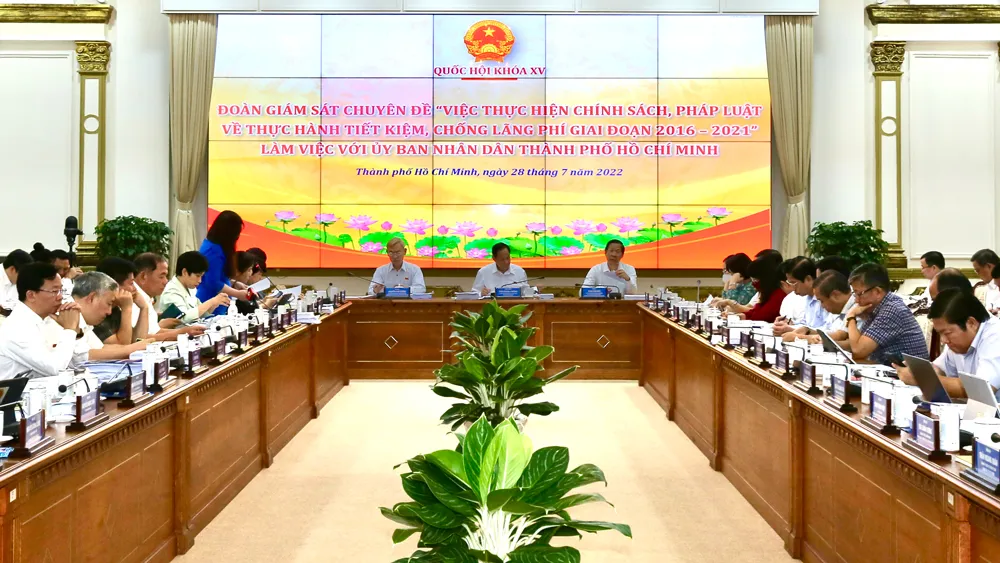 Quốc hội giám sát về công tác thực hành tiết kiệm, chống lãng phí tại TPHCM ảnh 1