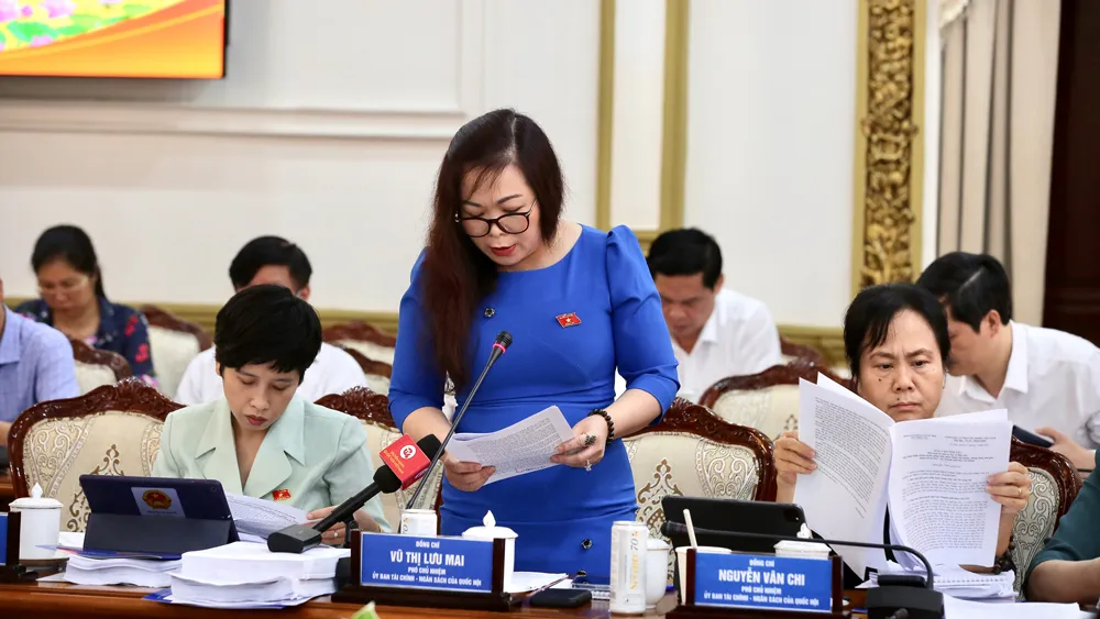 Quốc hội giám sát về công tác thực hành tiết kiệm, chống lãng phí tại TPHCM ảnh 3