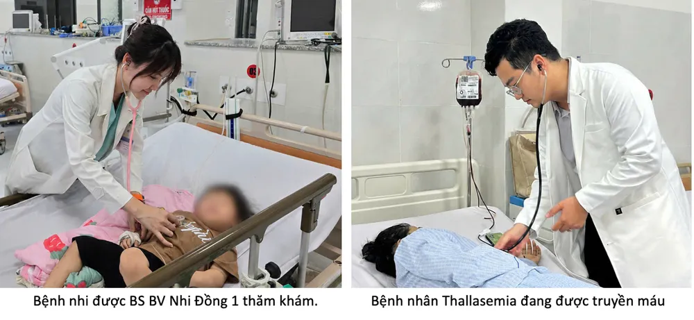 Triển khai hệ thống thở không xâm lấn và cung ứng máu an toàn cho đặc khu Côn Đảo