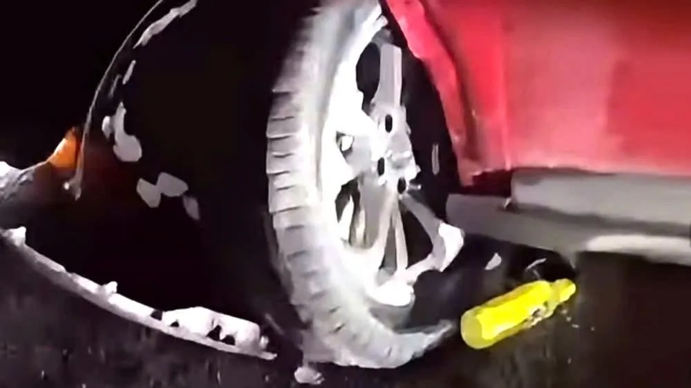1788833375791_2012801019281054652_1487151164595689969_84f8d15d376ac2cddd03c88c4f77fa06.jpg