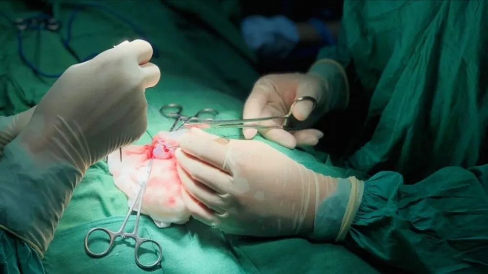 Các bác sĩ thực hiện kỹ thuật hỗ trợ sinh sản. Ảnh: Bệnh viện Việt – Bỉ 