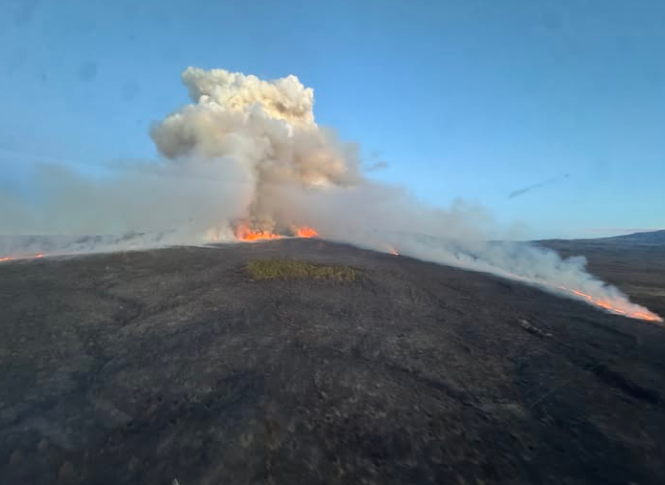 新西兰汤加里罗国家公园发生森林火灾