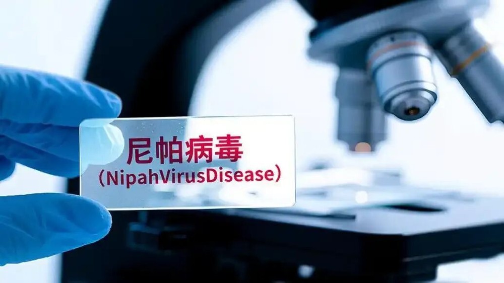 世卫组织：尼帕病毒的全球传播风险低