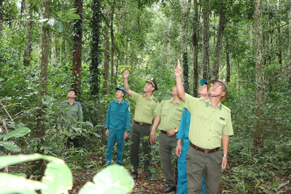 rung xuan son 21.JPG