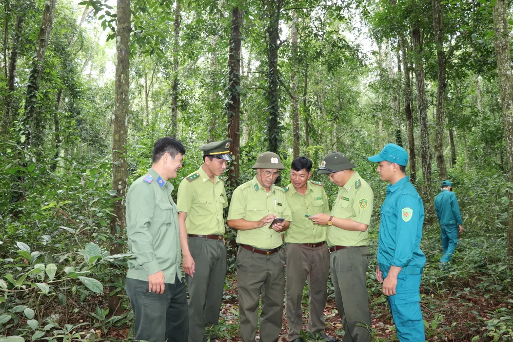 rung xuan son 22.JPG