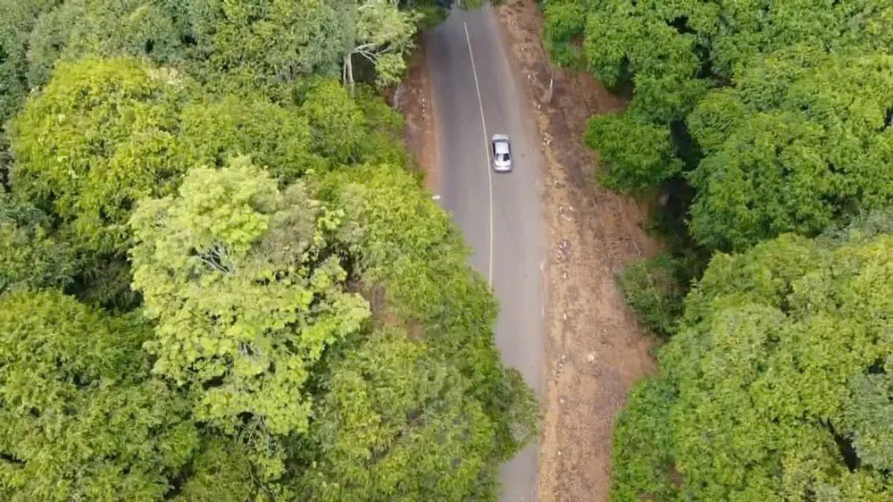 rung xuan son 28.jpg