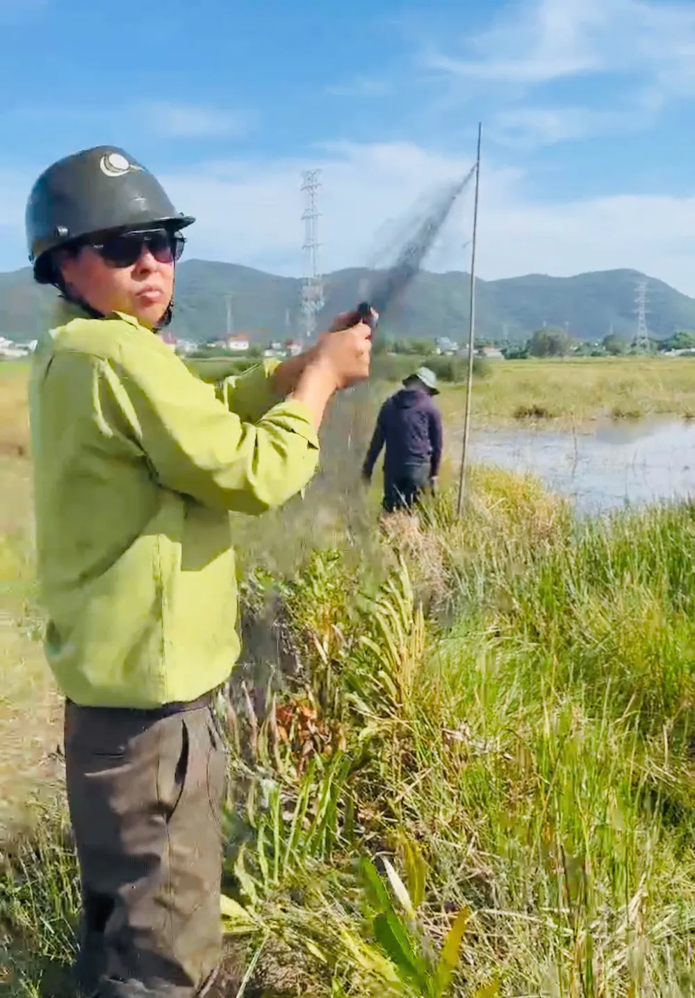 tan diet chim troi 1.jpg