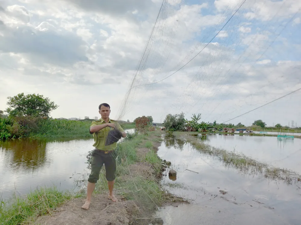 tan diet chim troi.jpg