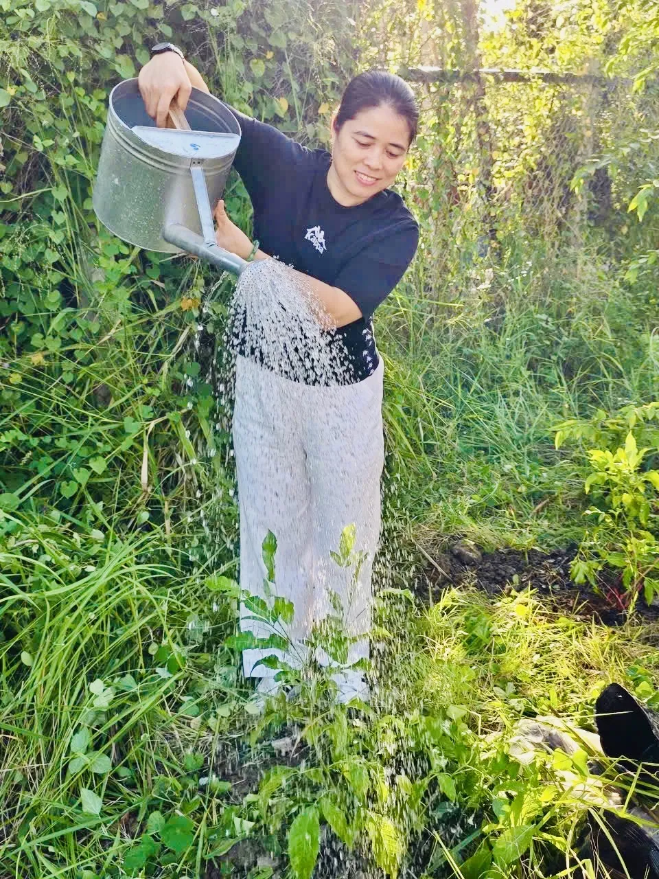 rach dua - trong cay.jpg