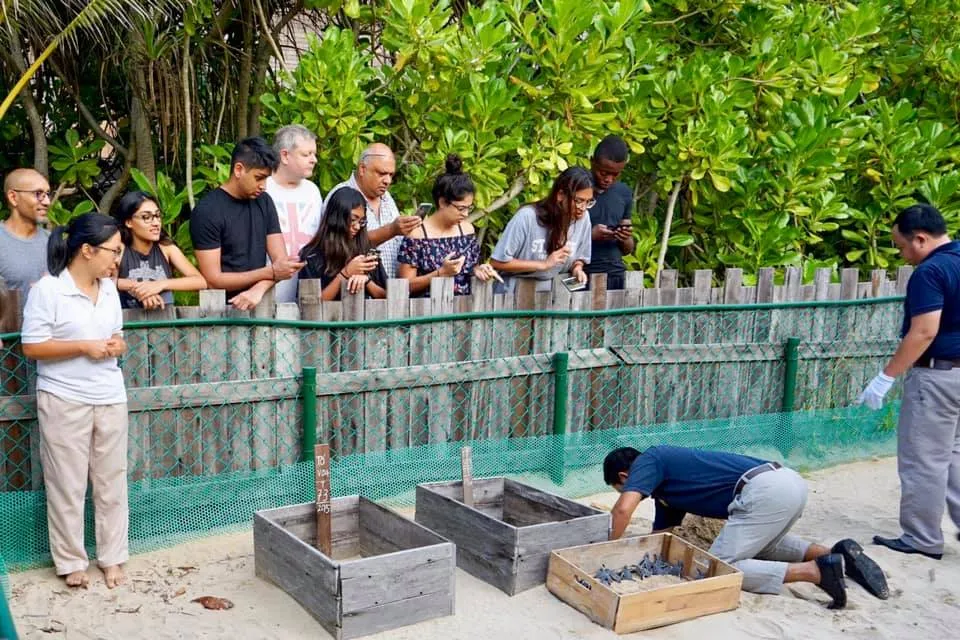 con dao - tha rua 11.jpg