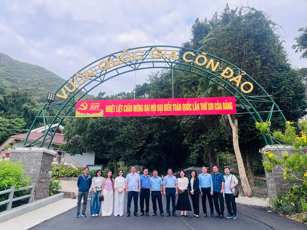 con dao - khao sat 3.jpg