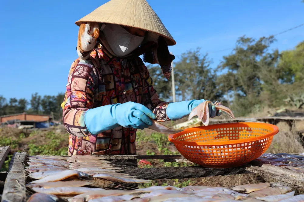 Sôi động thị trường hải sản khô phục vụ Tết