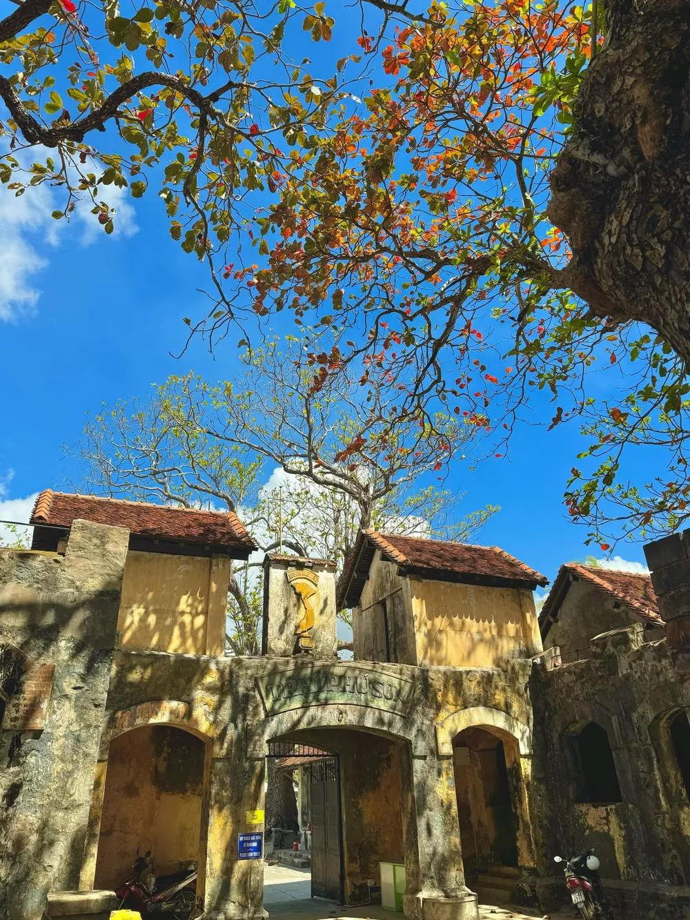 con dao - bang 5.jpg