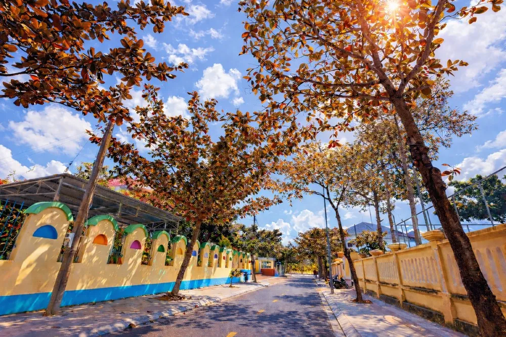 con dao - bang thay lá 14.jpg