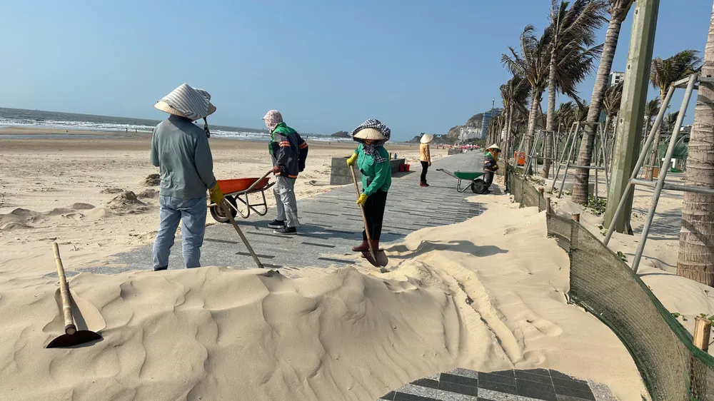 Nạn cát bay hoành hành khu vực Bãi Sau - Vũng Tàu