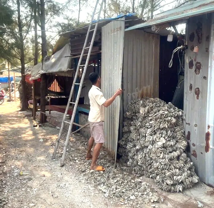 phuoc thang - trai phep 1.jpg