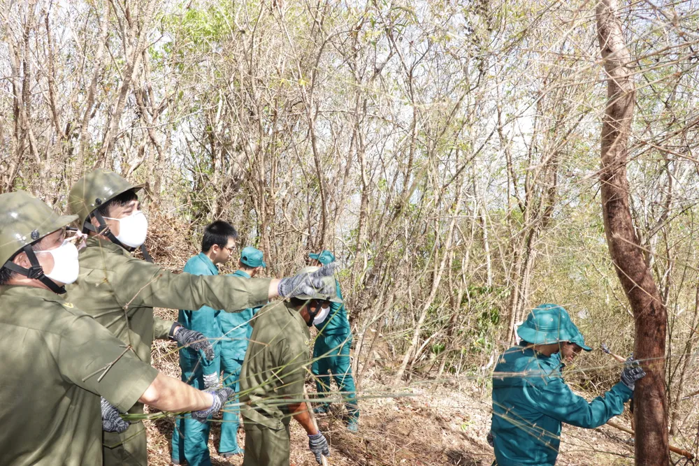 mo duong xuyen nui lon 1.JPG