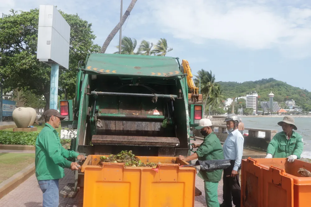 rac dai duong 3.JPG