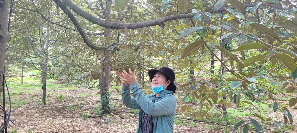 kim long - doi thoai 4.jpg