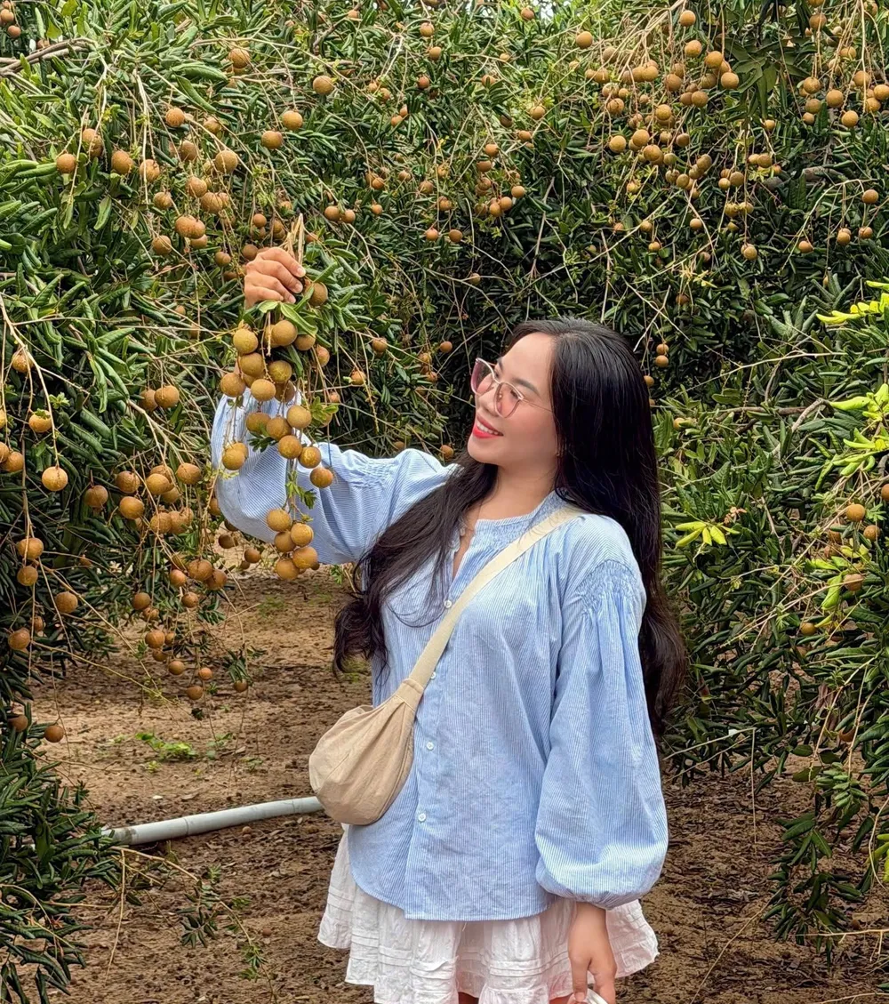 vuon nhan 3.jpg