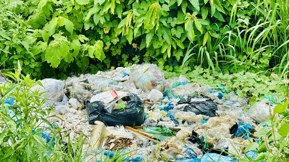 rac phuoc hai 3.jpg