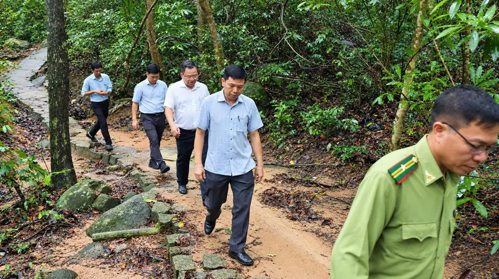 phuoc hai - minh dam.jpg