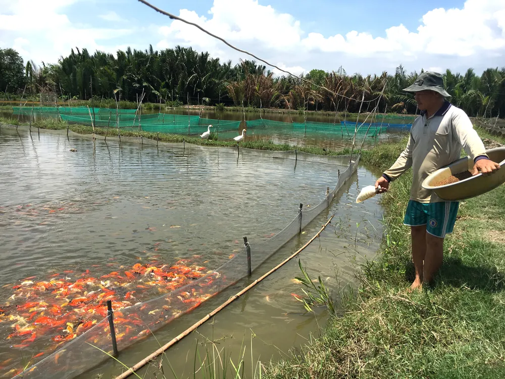 Sức sống mới ở xã vùng ven Bình Lợi  ảnh 1