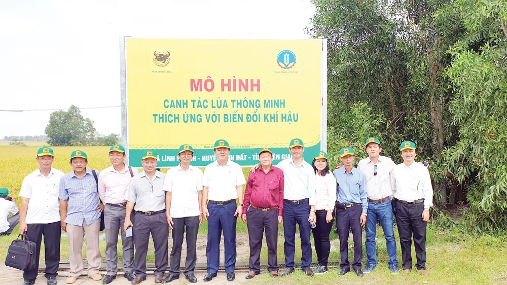 Ứng dụng công nghệ 4.0 trong sản xuất lúa ảnh 1