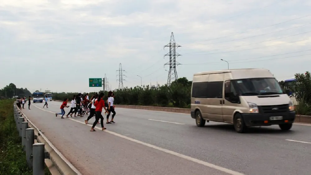 Nhanh một chút, chậm cả đời ảnh 1