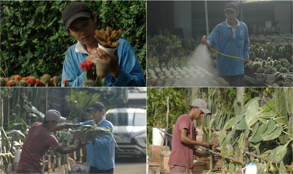 Mê mẩn với 1.000 giống xương rồng tại Làng hoa Sa Đéc ảnh 2