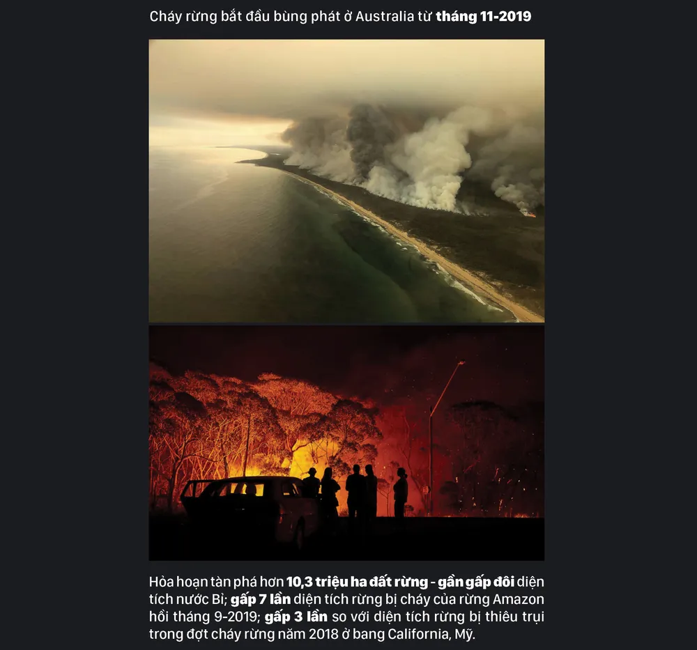 Australia “oằn lưng” chống chọi thảm họa cháy rừng ảnh 2