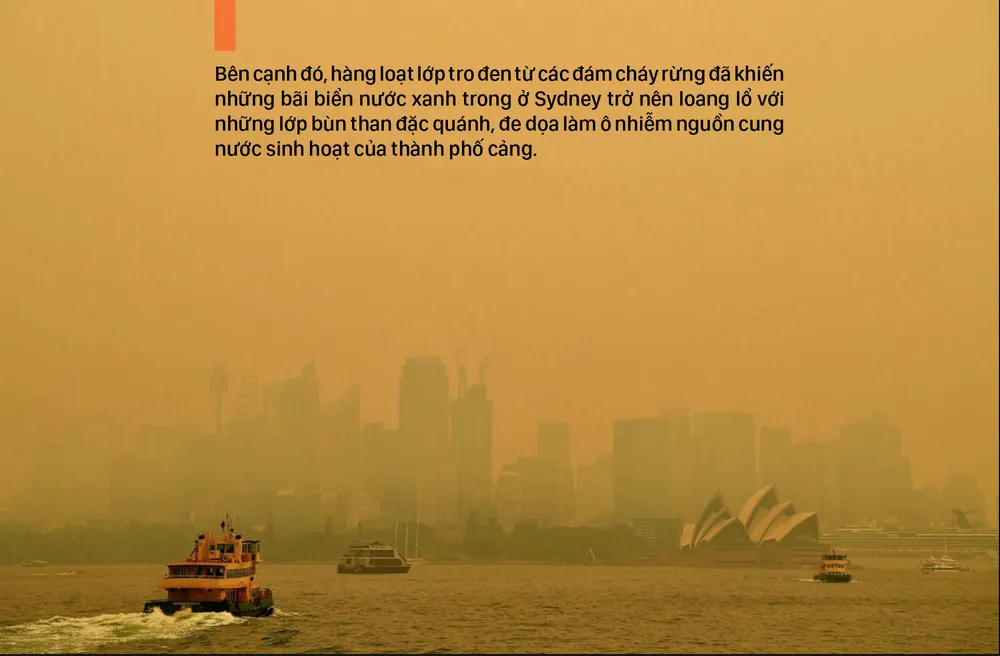 Australia “oằn lưng” chống chọi thảm họa cháy rừng ảnh 10