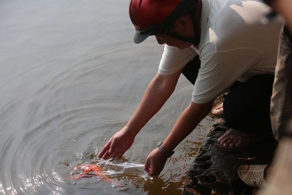 Thả cá chép ngày 23 tháng Chạp…cầu mong sự bình an ảnh 7