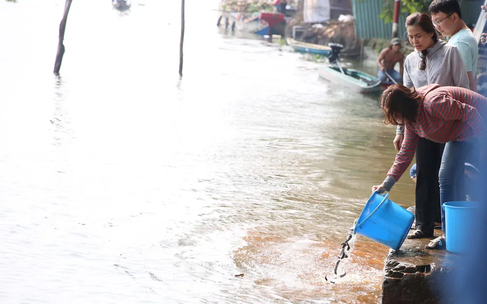 Thả cá chép ngày 23 tháng Chạp…cầu mong sự bình an ảnh 8