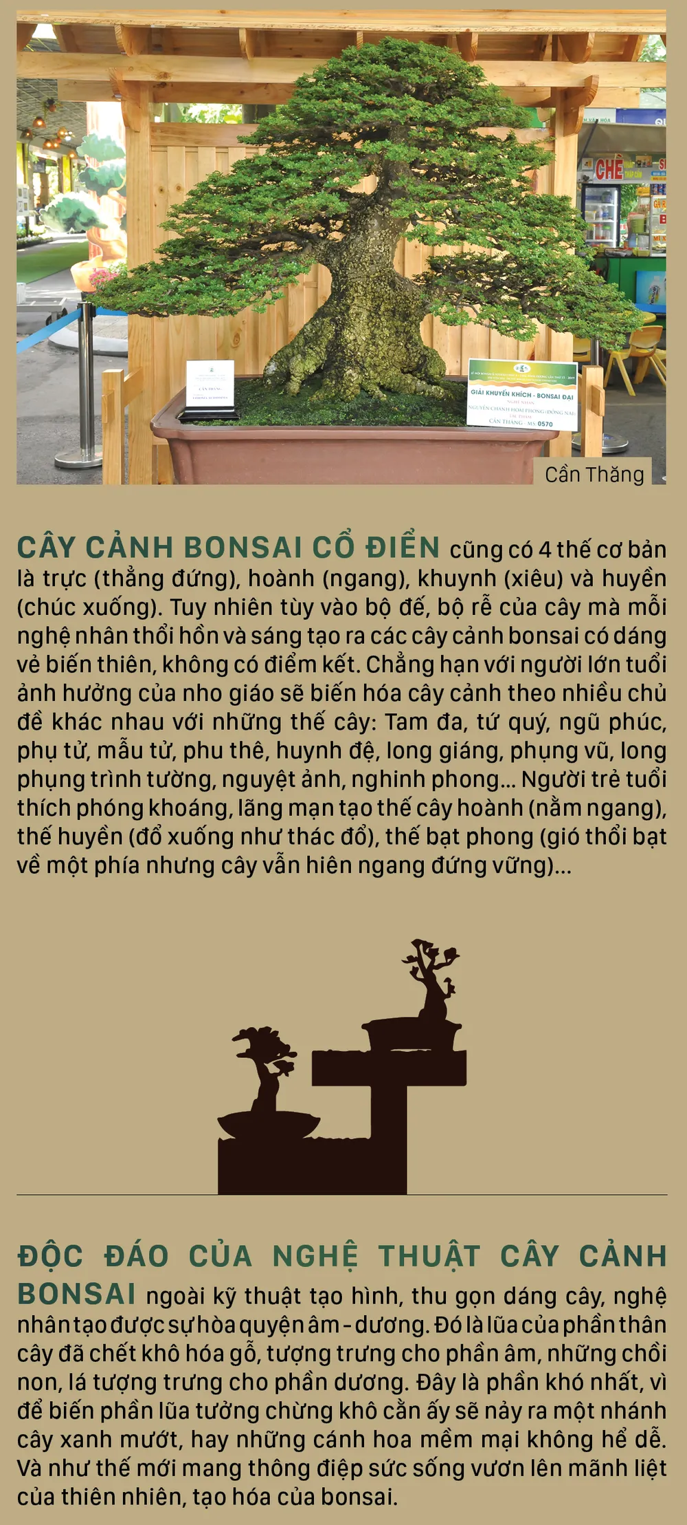 Nghệ thuật bonsai, thú chơi tao nhã ảnh 7