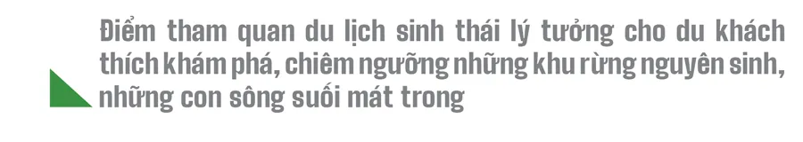Trải nghiệm du lịch bảo vệ rừng ảnh 21