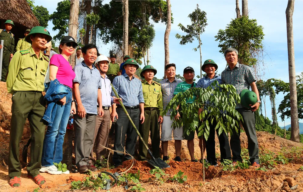 Trải nghiệm du lịch bảo vệ rừng ảnh 23