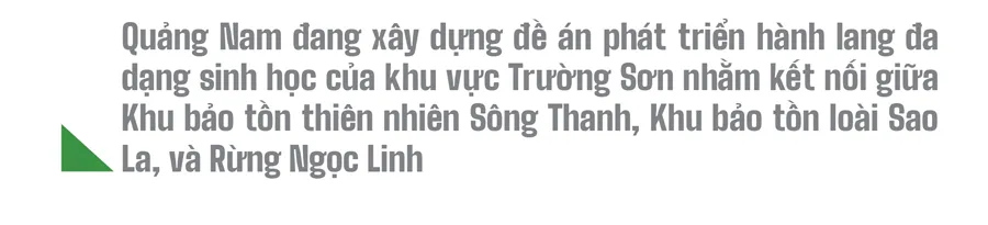 Trải nghiệm du lịch bảo vệ rừng ảnh 26