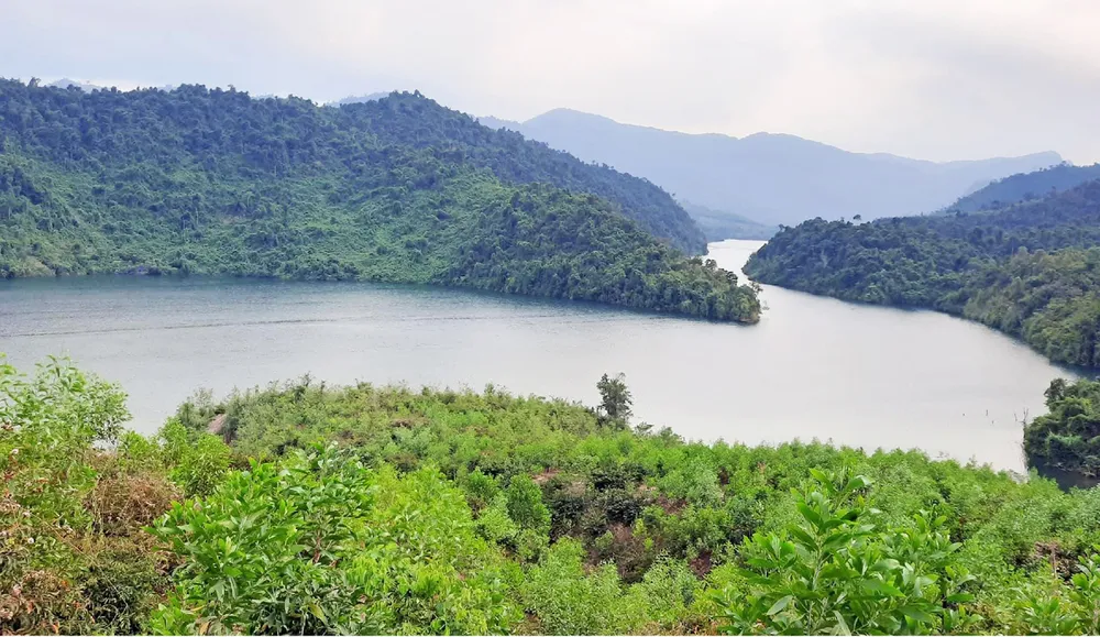 Trải nghiệm du lịch bảo vệ rừng ảnh 1