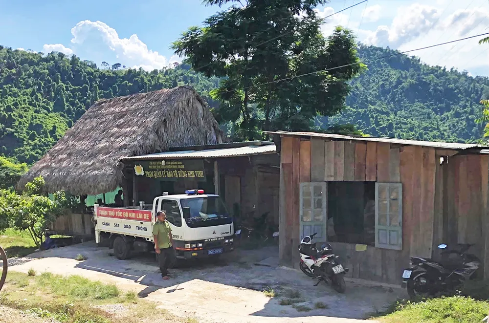 Trải nghiệm du lịch bảo vệ rừng ảnh 6