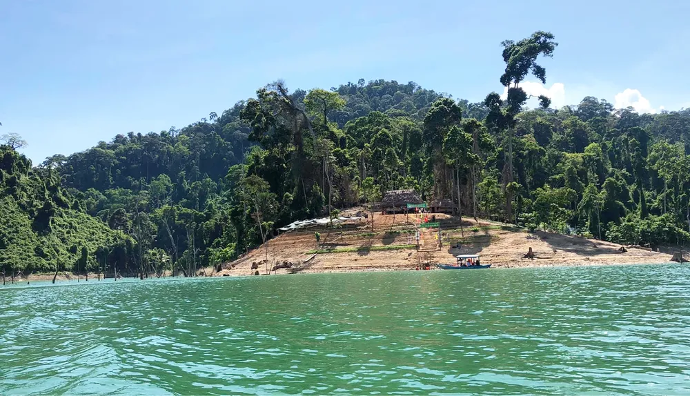 Trải nghiệm du lịch bảo vệ rừng ảnh 10