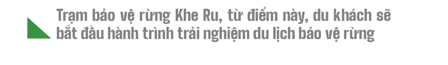 Trải nghiệm du lịch bảo vệ rừng ảnh 11