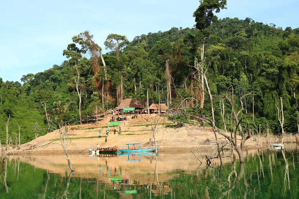 Trải nghiệm du lịch bảo vệ rừng ảnh 12