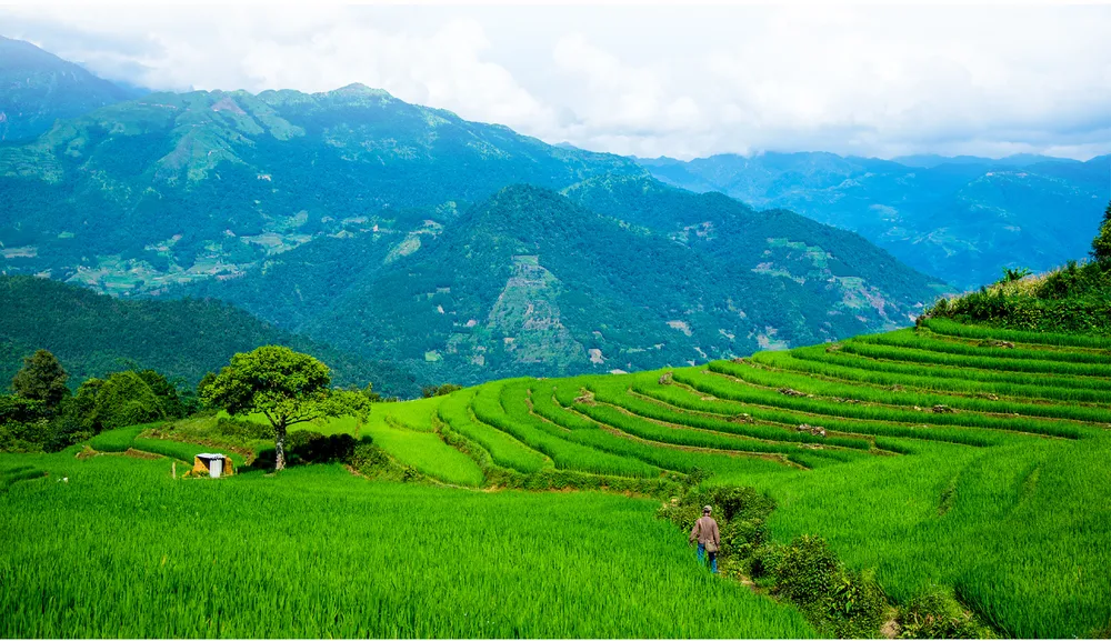 Linh vật Hổ đá trên rẻo cao Y Tý ảnh 3