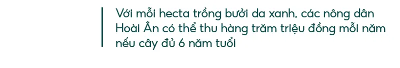 Những “ông vua” cây ăn quả ở Hoài Ân, Bình Định ảnh 10